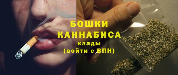 мдпв Богородск
