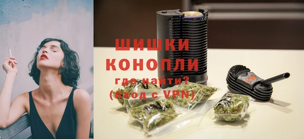 мдпв Богородск