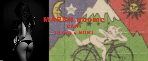 мдпв Богородск