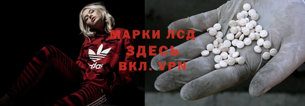 мдпв Богородск