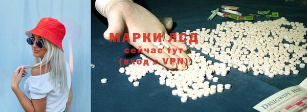 мдпв Богородск