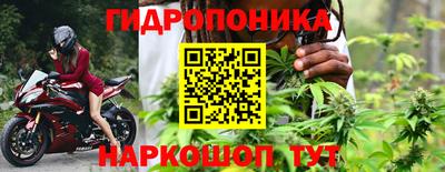 альфа пвп Гай