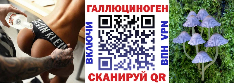 Галлюциногенные грибы мицелий Гусев