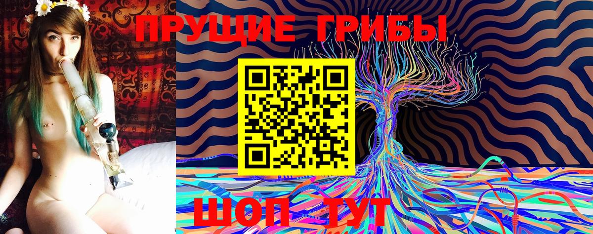 Псилоцибиновые грибы прущие грибы  закладки  Галлюциногенные грибы Cubensis  Гусев 