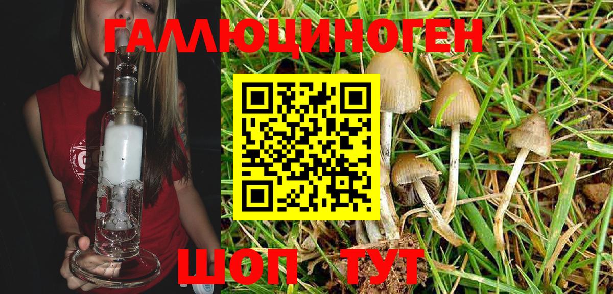 Псилоцибиновые грибы мухоморы Гусев