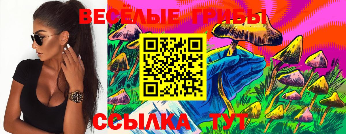 Гусев  Галлюциногенные грибы мицелий  Вход с VPN  купить наркотики сайты  Галлюциногенные грибы Cubensis 