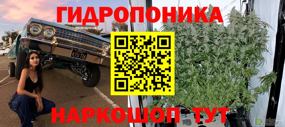 Канабис тримм  Бошки марихуана индика  Шишки марихуана тримм  Конопля THC 21%  Гусев 